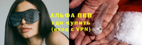хмурый Белокуриха