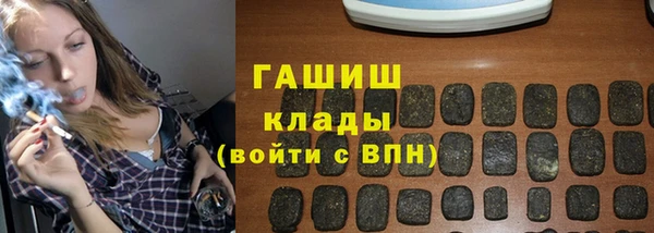 хмурый Белокуриха