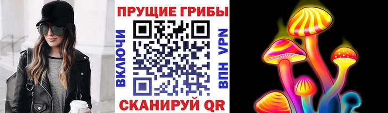 hydra зеркало  Ефремов  Псилоцибиновые грибы GOLDEN TEACHER  цена  